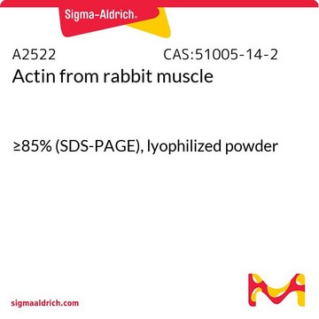 Actin from rabbit muscle
