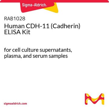 Human CDH-11 (Cadherin) ELISA Kit