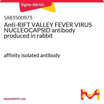 Anti-RIFT VALLEY FEVER VIRUS NUCLEOCAPSID