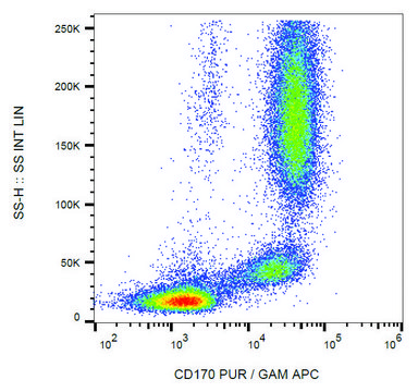 Monoclonal Anti-CD170 antibody produced in