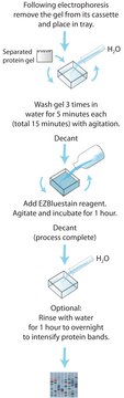 EZBlue™ Gel Staining Reagent