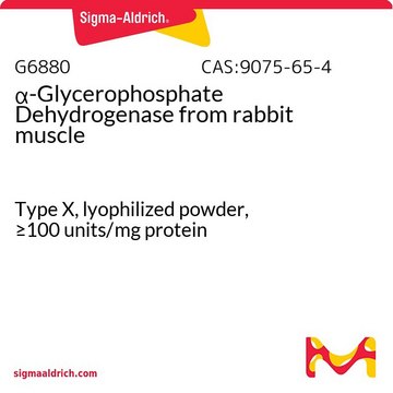 ?-Glycerophosphate Dehydrogenase from rabbit muscle