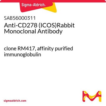Anti-CD278 (ICOS)Rabbit Monoclonal Antibody