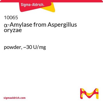 ?-Amylase from Aspergillus oryzae