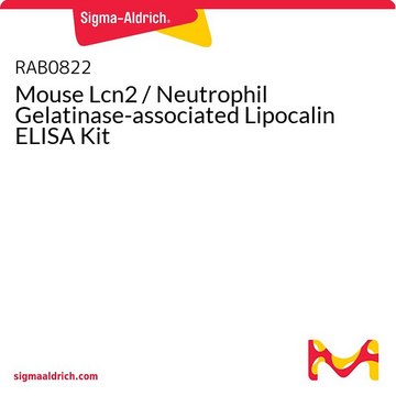 Mouse Lcn2 / Neutrophil Gelatinase-associated