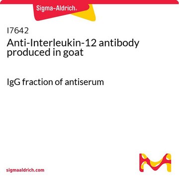 Anti-Interleukin-12 antibody produced in goat