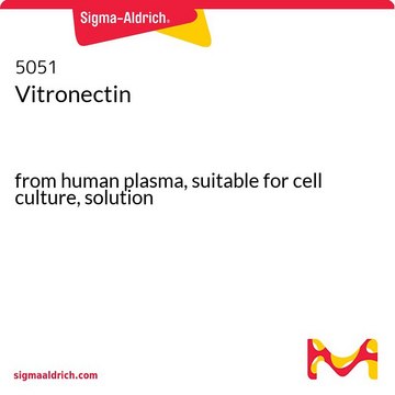 Vitronectin