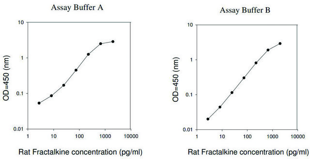 Rat Fractalkine ELISA Kit