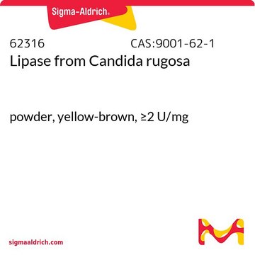 Lipase from Candida rugosa