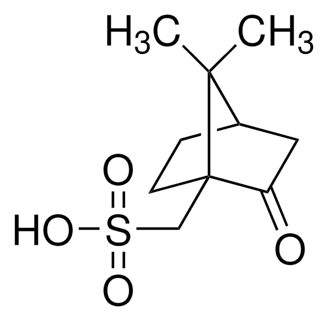 D-CAMPHOR SULFONIC ACID, UNITED STATES