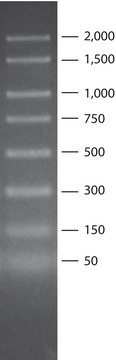 PCR 50 - 2,000 bp