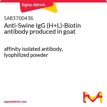 Anti-Swine IgG (H+L)-Biotin antibody produced