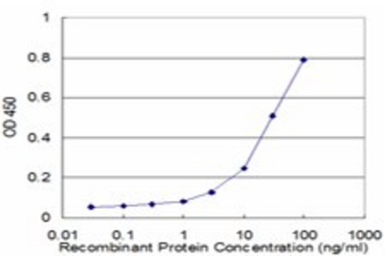 ANTI-PTCH antibody produced in mouse