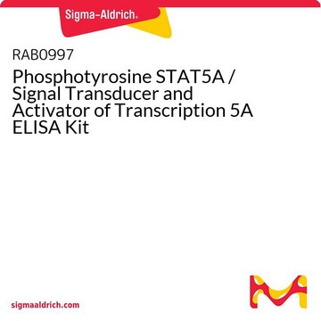 Phosphotyrosine STAT5A / Signal Transducer