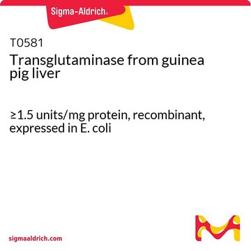 Transglutaminase from guinea pig liver