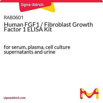 Human FGF1 / Fibroblast Growth
