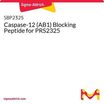 Caspase-12 (AB1) Blocking Peptide for