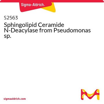 Sphingolipid Ceramide N-Deacylase from Pseudomonas
