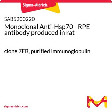 Monoclonal Anti-Hsp70 - RPE antibody