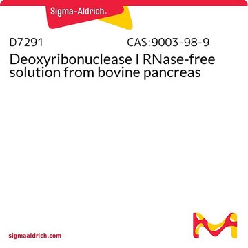 Deoxyribonuclease I RNase-free solution from