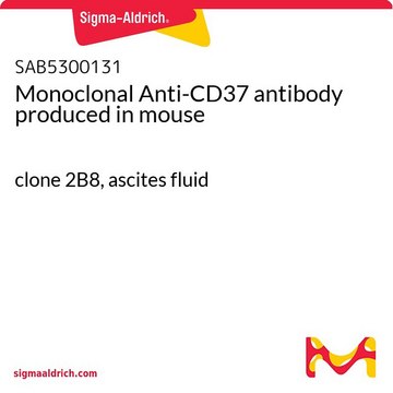 Monoclonal Anti-CD37 antibody produced in