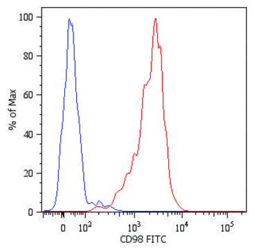 Monoclonal Anti-CD98-FITC antibody produced in