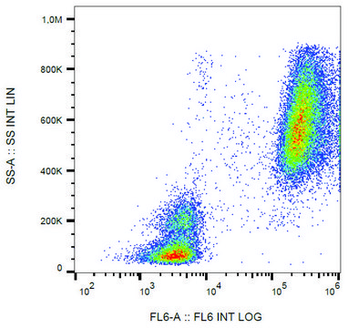 Monoclonal Anti-Lactoferrin antibody produced in