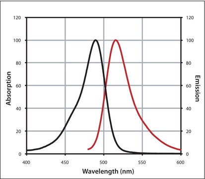 Mix-n-Stain™ CF™ 488A Antibody Labeling