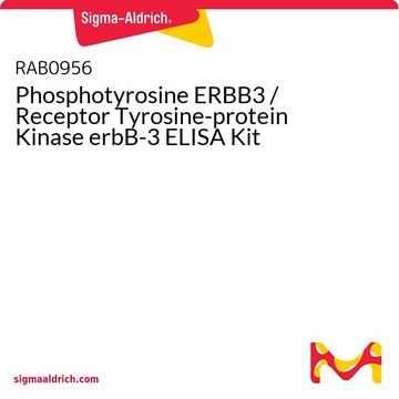 Phosphotyrosine ERBB3 / Receptor Tyrosine-protein