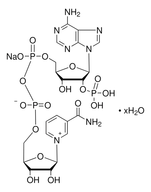 ?-Nicotinamide adenine dinucleotide phosphate sodium