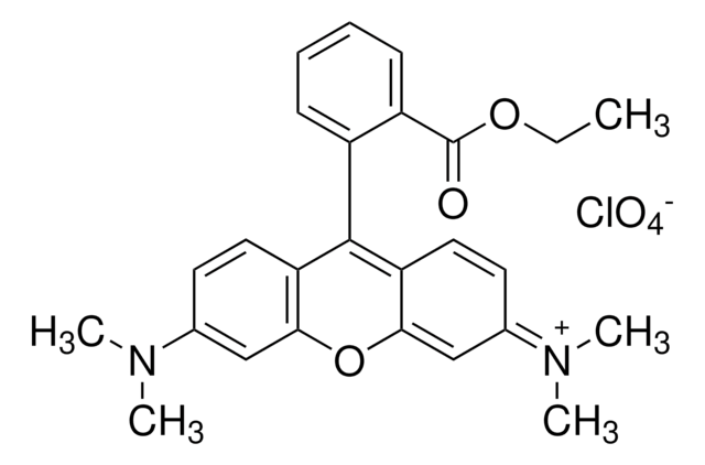 Tetramethylrhodamine ethyl ester perchlorate