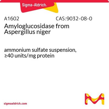 Amyloglucosidase from Aspergillus niger