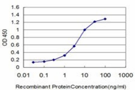 Monoclonal Anti-FOXQ1 antibody produced in