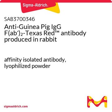 Anti-Guinea Pig IgG F(ab?)?-Texas Red™