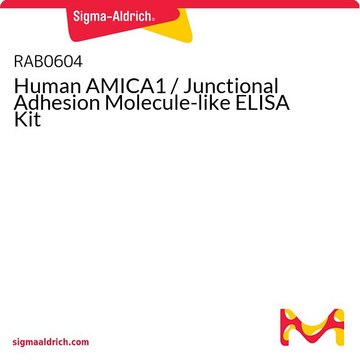 Human AMICA1 / Junctional Adhesion