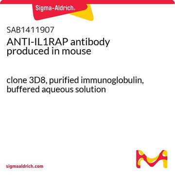 ANTI-IL1RAP antibody produced in mouse