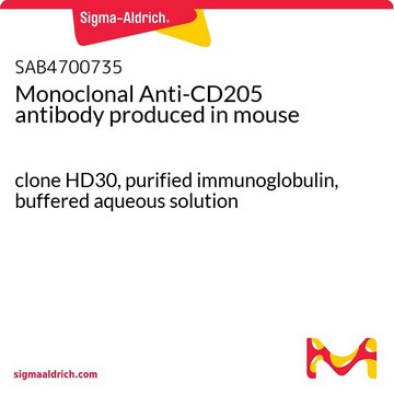 Monoclonal Anti-CD205 antibody produced in