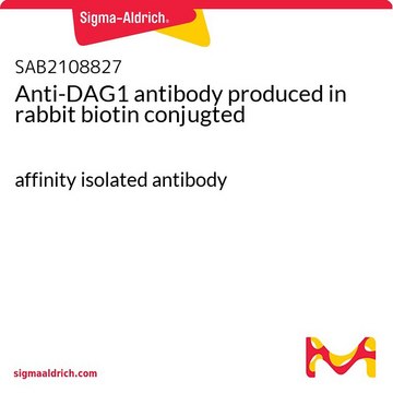 Anti-DAG1 antibody produced in rabbit