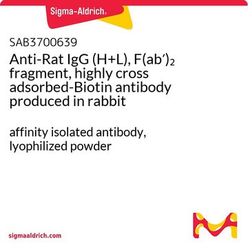 Anti-Rat IgG (H+L), F(ab?)? fragment,
