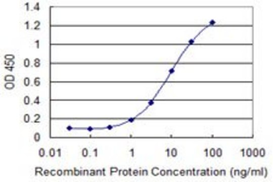 Monoclonal Anti-RHOBTB3 antibody produced in