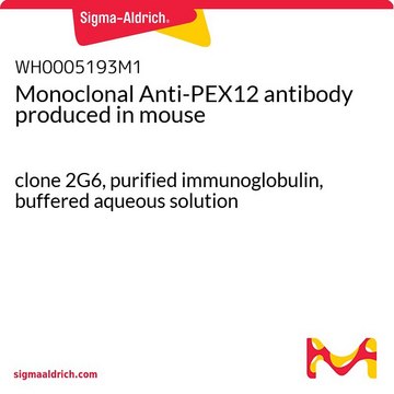 Monoclonal Anti-PEX12 antibody produced in