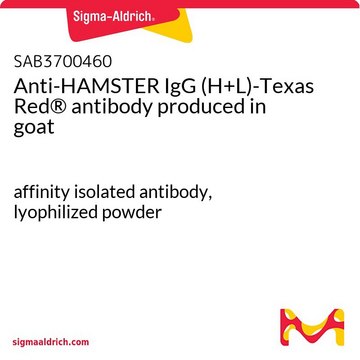 Anti-HAMSTER IgG (H+L)-Texas Red® antibody