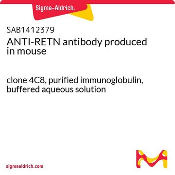 ANTI-RETN antibody produced in mouse