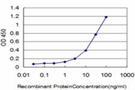 Monoclonal Anti-GSTM5, (C-terminal) antibody produced