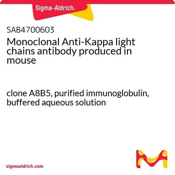 Monoclonal Anti-Kappa light chains antibody