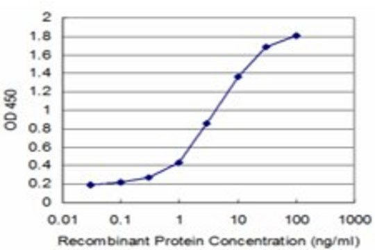 Monoclonal Anti-HMBS antibody produced in