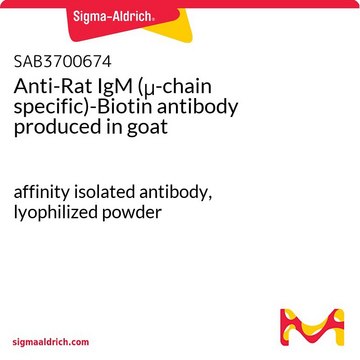 Anti-Rat IgM (?-chain specific)-Biotin antibody