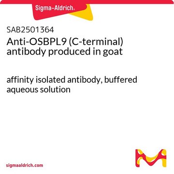 Anti-OSBPL9 (C-terminal) antibody produced in
