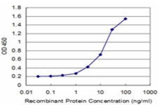 Monoclonal Anti-NELL1 antibody produced in