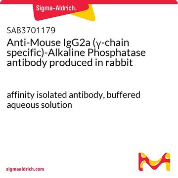 Anti-Mouse IgG2a (?-chain specific)-Alkaline Phosphatase